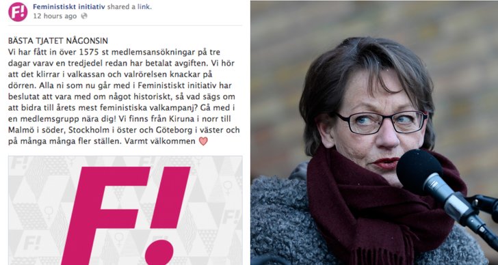 Gudrun Schyman, Feminism, Medlemmar, Samtycke, Homeparty, Feministiskt initiativ, FI